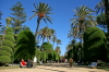 Cadiz