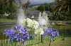 Funchal