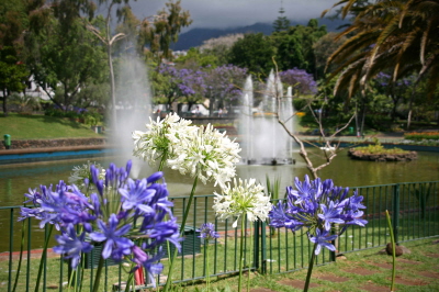 Funchal
