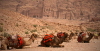 Petra