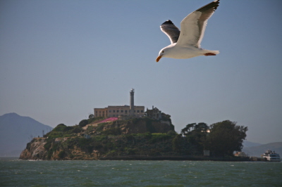 Alcatraz