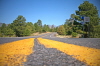 Route 66