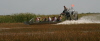 Everglades